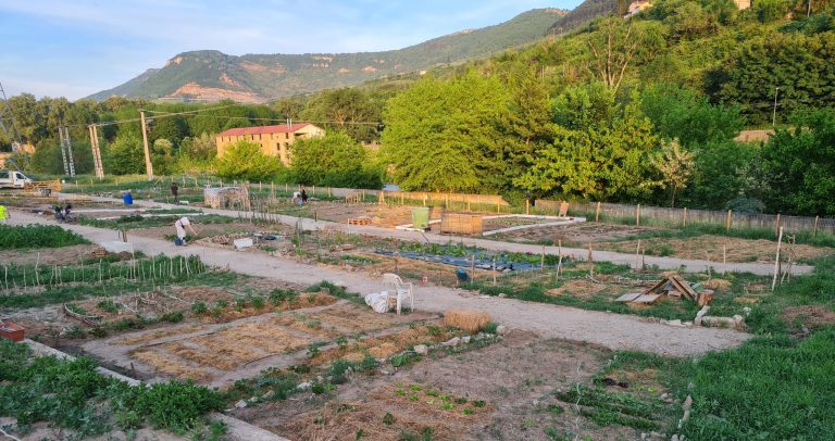 Les jardins partagés à Millau