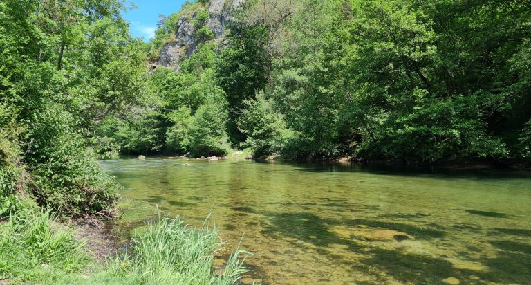 Visite des Gorges de la Dourbie et randonnée